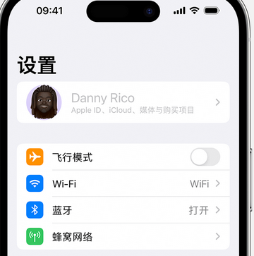 大通appleID维修服务iPhone设置中Apple ID显示为灰色无法使用 