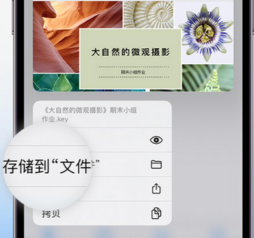 大通apple维修中心分享iPhone文件应用中存储和找到下载文件