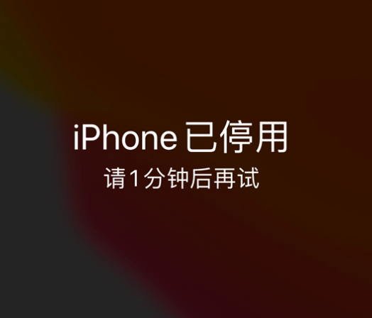 大通苹果手机维修分享:iPhone 显示“不可用”或“已停用”怎么办？还能保留数据吗？ 