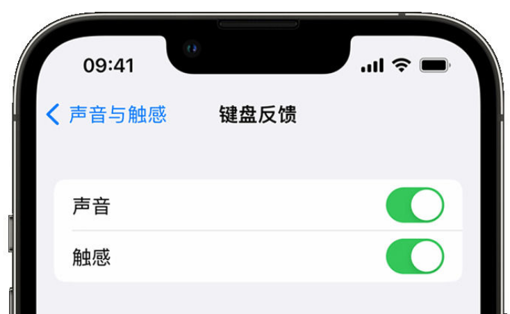 大通苹果手机维修分享iPhone 14触感键盘使用方法 