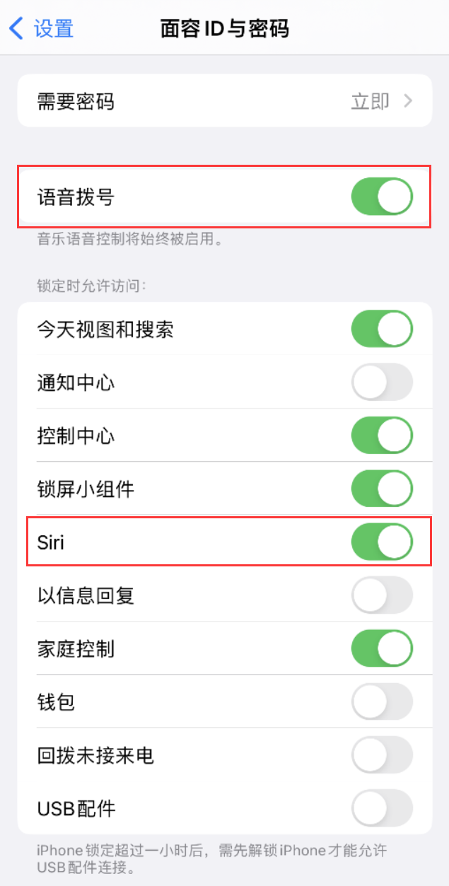 大通苹果维修网点分享不解锁 iPhone 的情况下通过 Siri 拨打电话的方法 