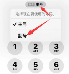 大通苹果14维修店分享iPhone 14 Pro Max使用副卡打电话的方法 