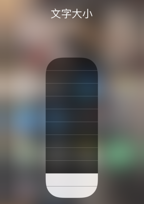 大通苹果手机维修分享小技巧：在 iPhone 控制中心快速调节字体大小 