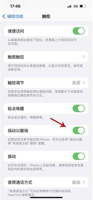 大通苹果手机维修分享iPhone手机如何设置摇一摇删除文字 